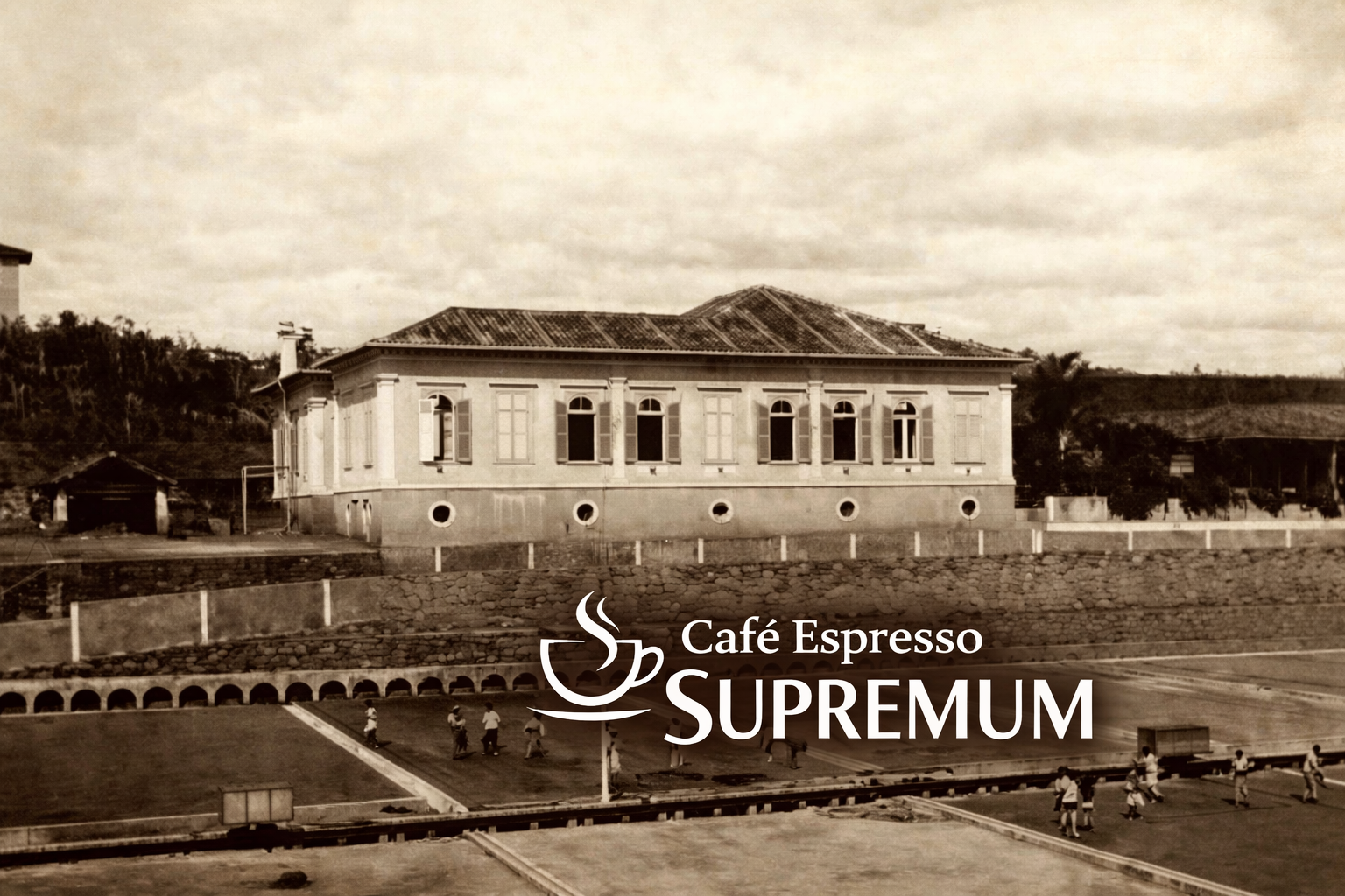 Fazenda de café com paisagem ampla